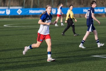 Bild 421 - wBJ Hamburger SV - Hertha BSC : Ergebnis: 2:1